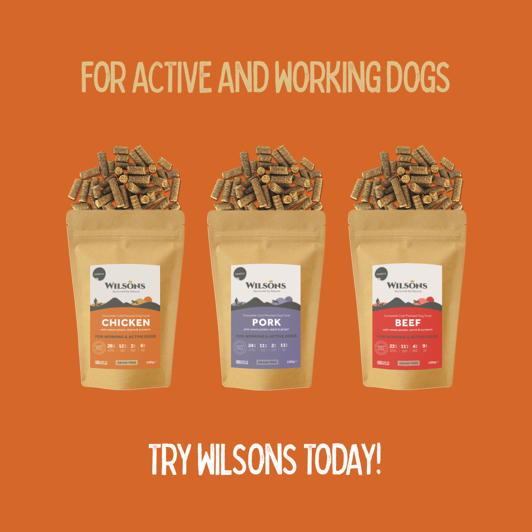 Cold Pressed Dog Food Sample Box