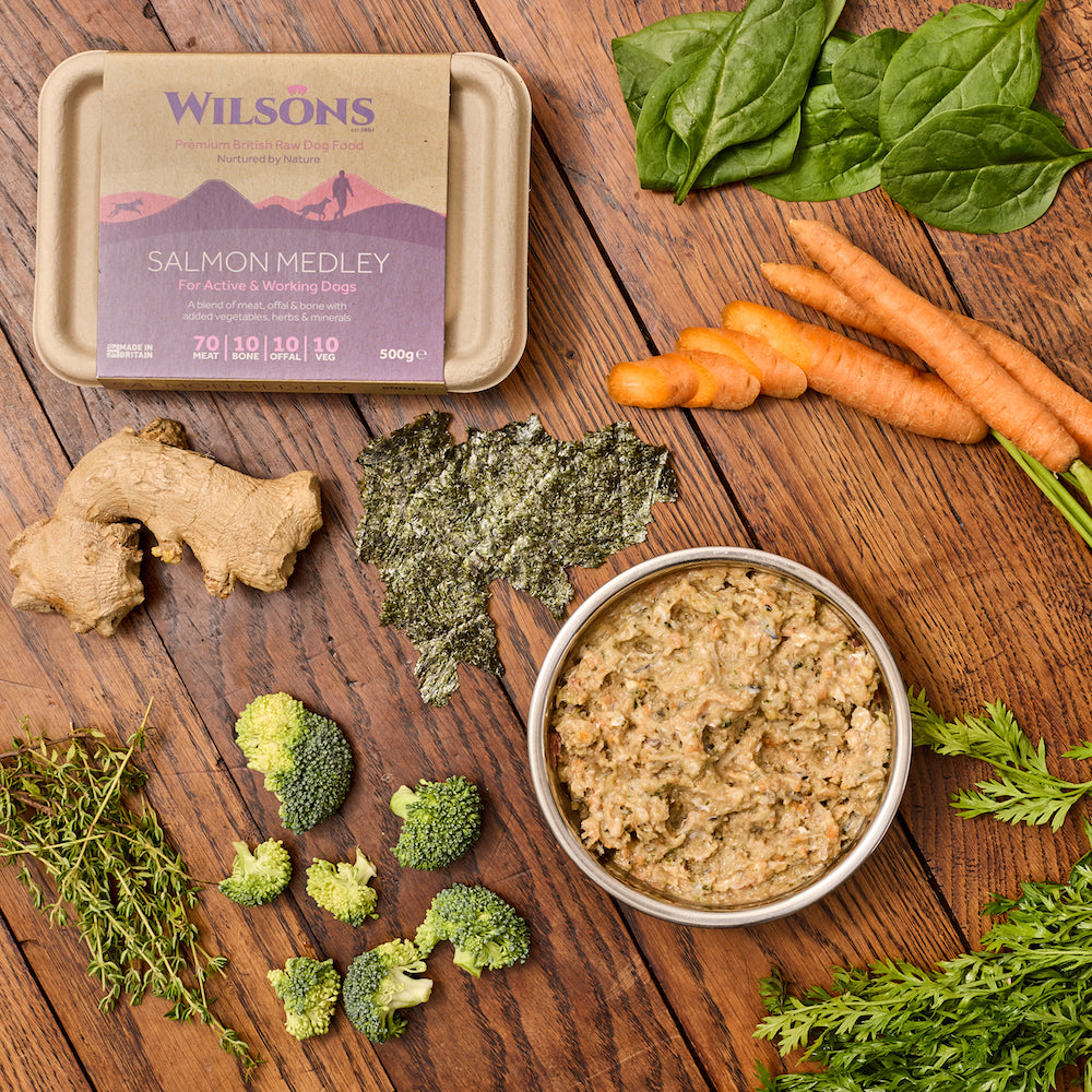 Lily's kitchen best sale raw food