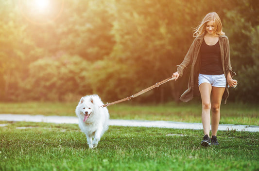 How to have a safe, enjoyable walk