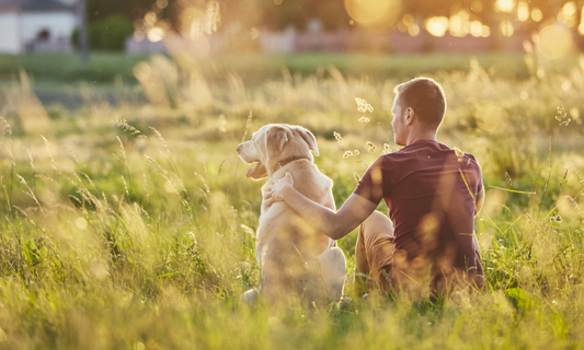 Love Letters To Your Dog