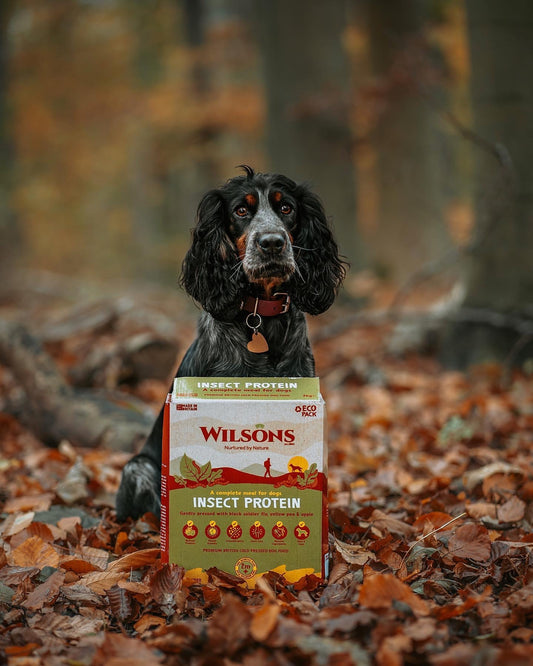 Insect Protein Cold Pressed Dog Food Forest