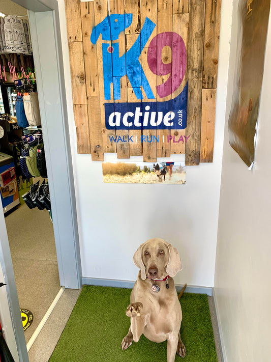 Stockist Spotlight: K9 Active