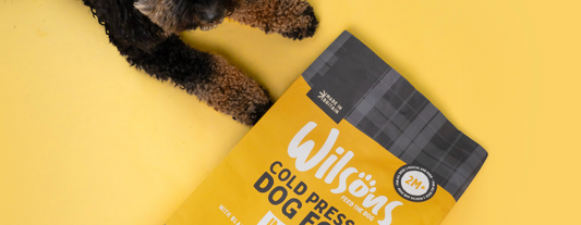 Insect Cold Pressed Dog Food Blog Loyalty Club