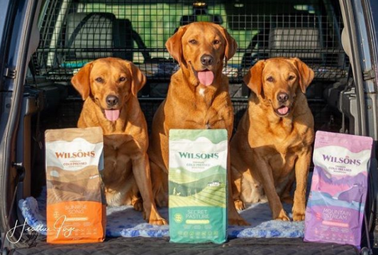 Breeding with Wilsons Pet Food