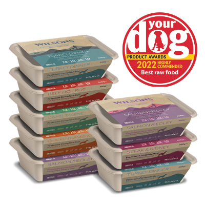 Best raw on sale frozen dog food