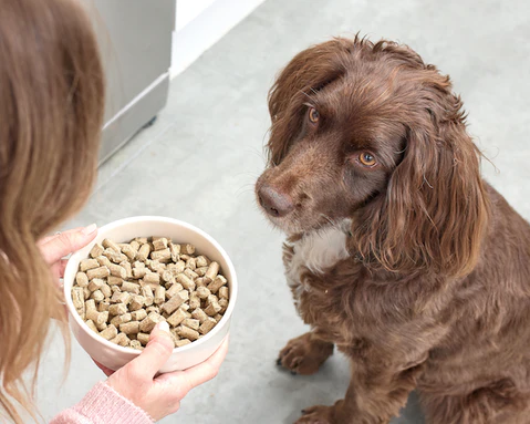 All about cold pressed dog food | Wilsons Pet Food