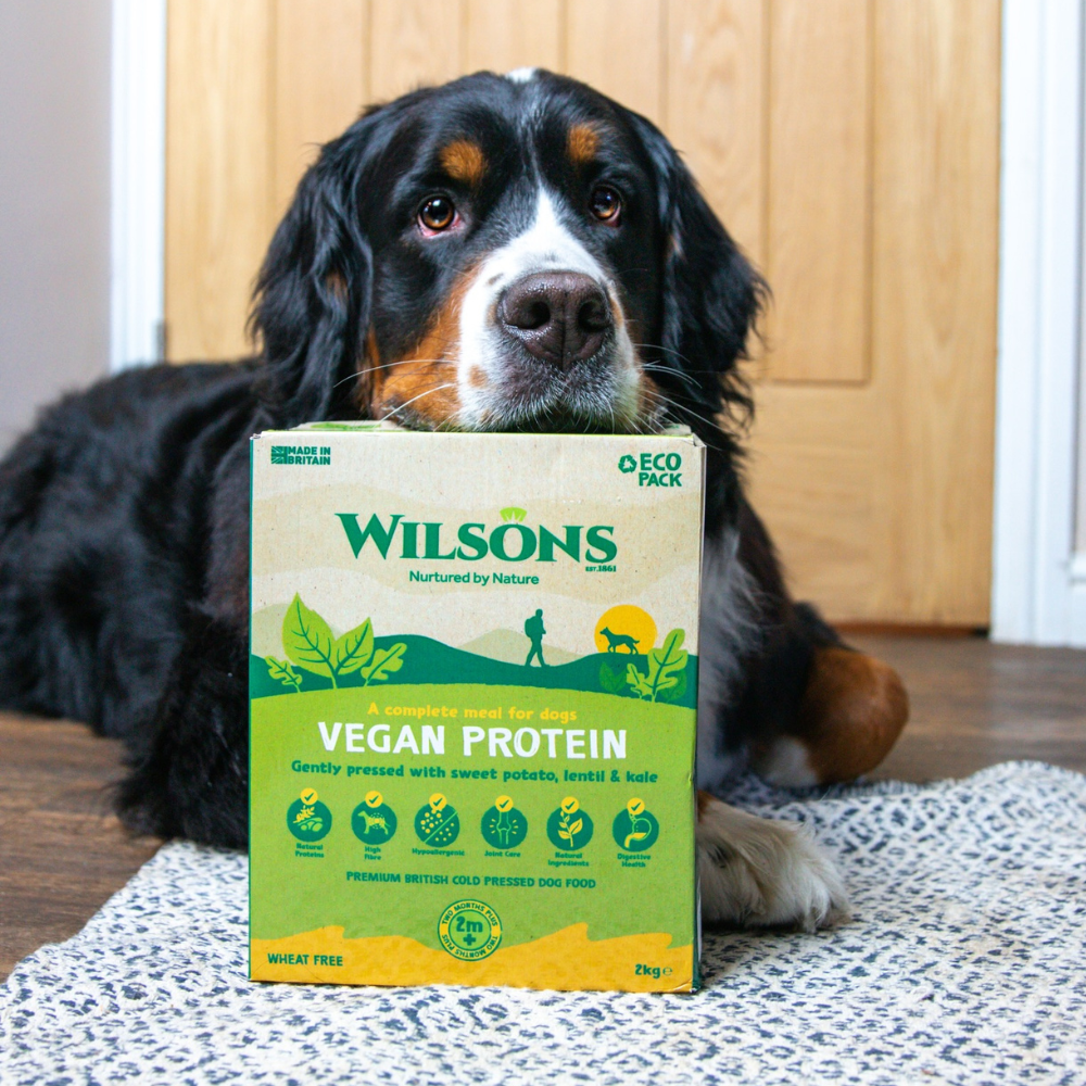 Vegan Dog Food for Carnivores