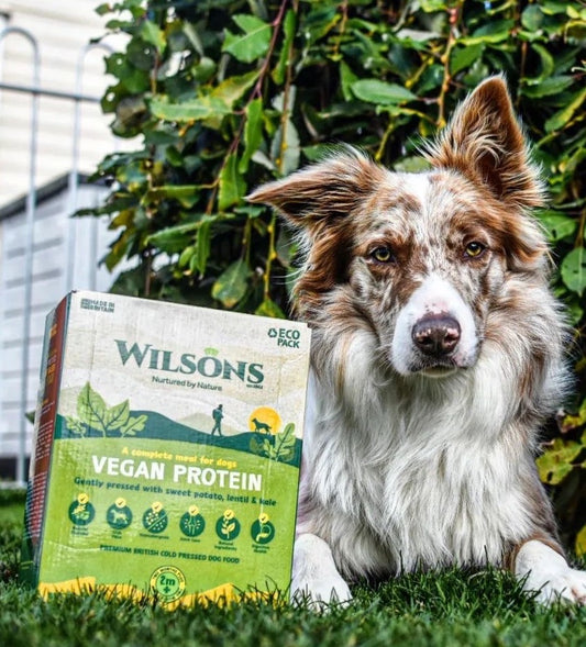 What is Vegan Dog Food?