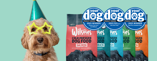 Wilsons wins two awards in Your Dog Magazine's Product Awards 2025