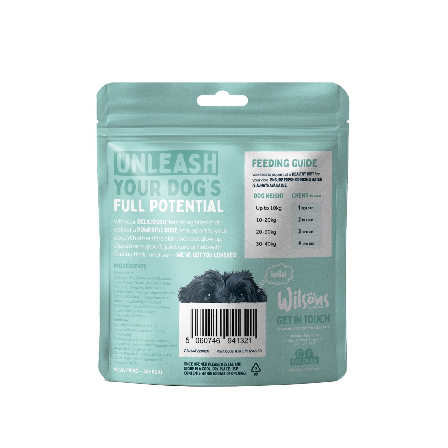 Digestion Support Supplement for Dogs