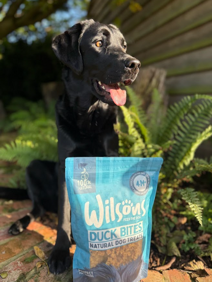 Duck Bites Natural Dog Treats