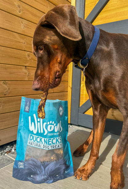 Duck Neck Dog Treats from Wilsons Pet Food