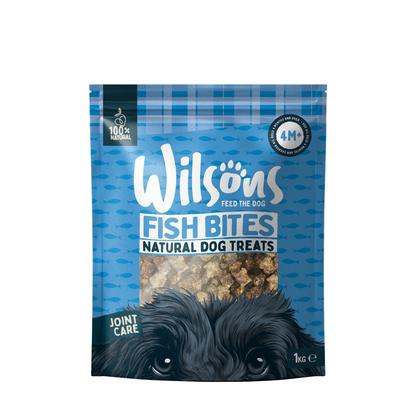 Fish Bites Natural Dog Treats