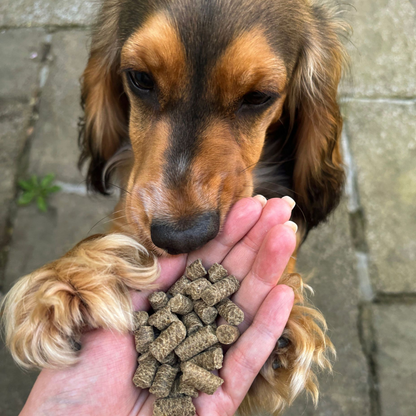 Cold Pressed Dog Food Sample Box