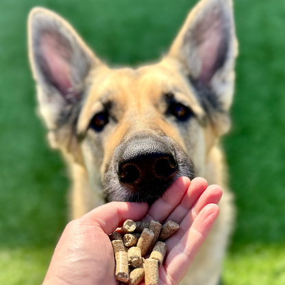 Cold Pressed Dog Food Sample Box