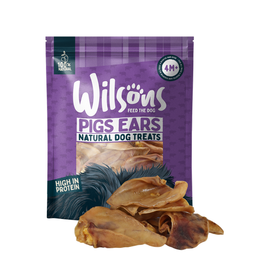 Pigs Ears Natural Dog Treats