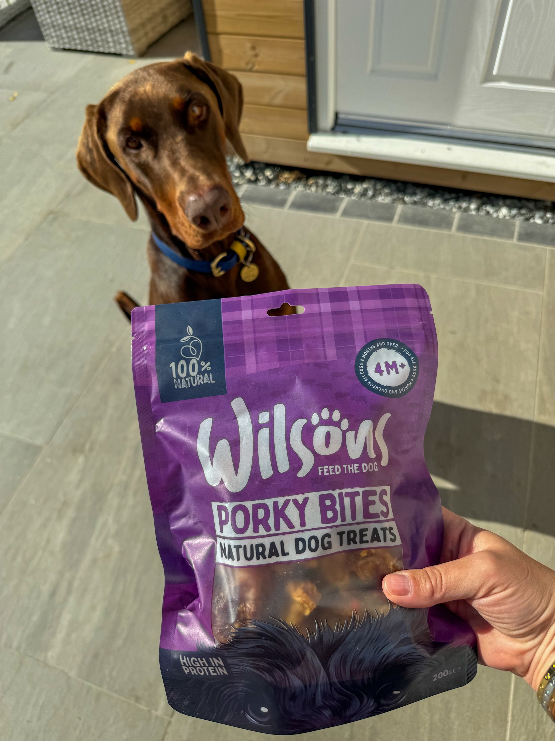 Porky Bites Dog Treats from Wilsons Pet Food