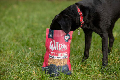 Rabbit Bites Dog Treats from Wilsons Pet Food