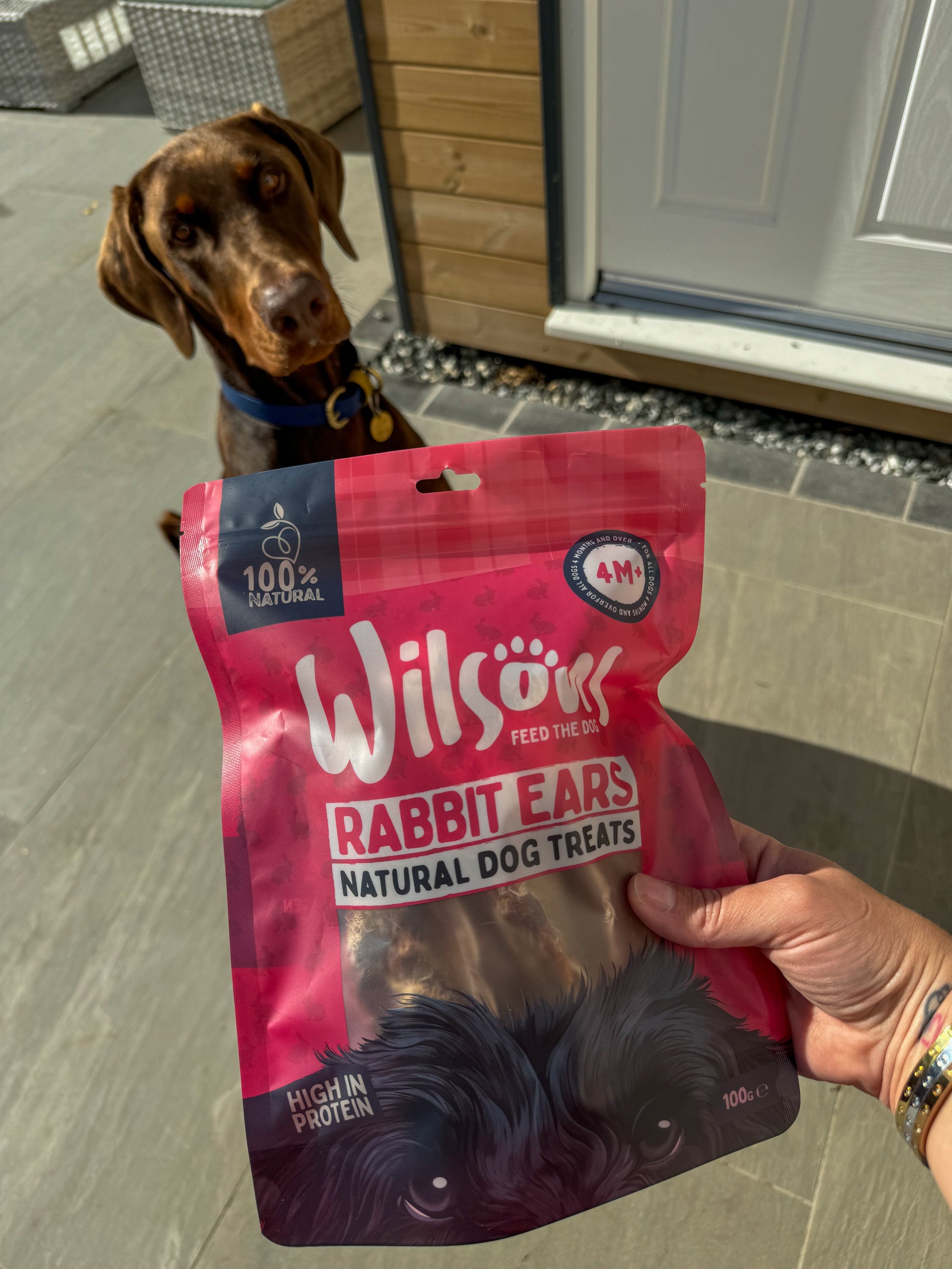 Rabbit Ears Dog Treats from Wilsons Pet Food