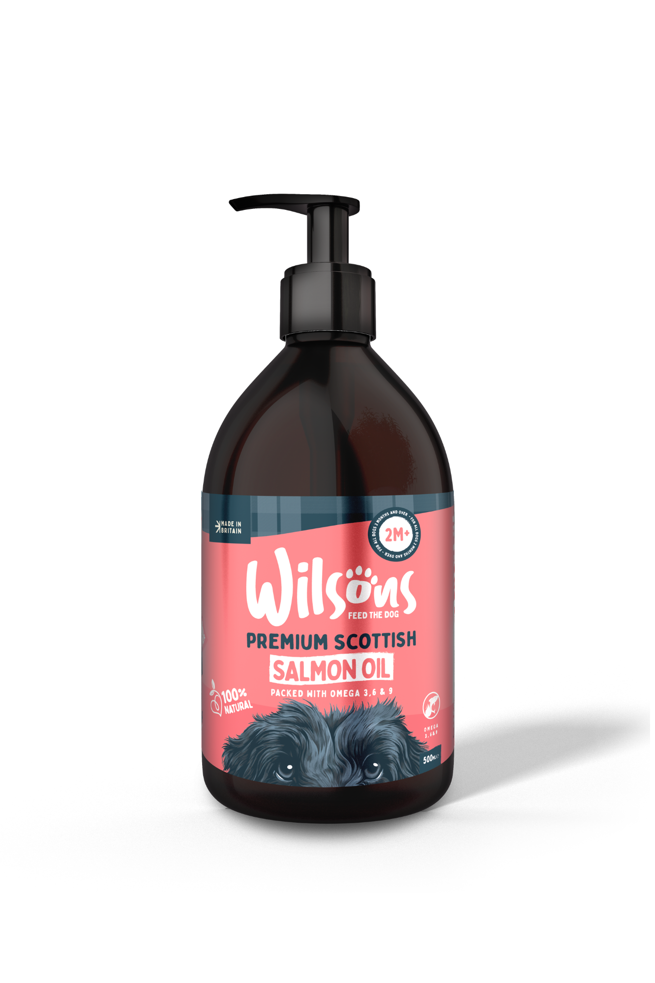 Wilsons Salmon Oil For Dogs Top To Tail Benefits Wilsons Pet Food