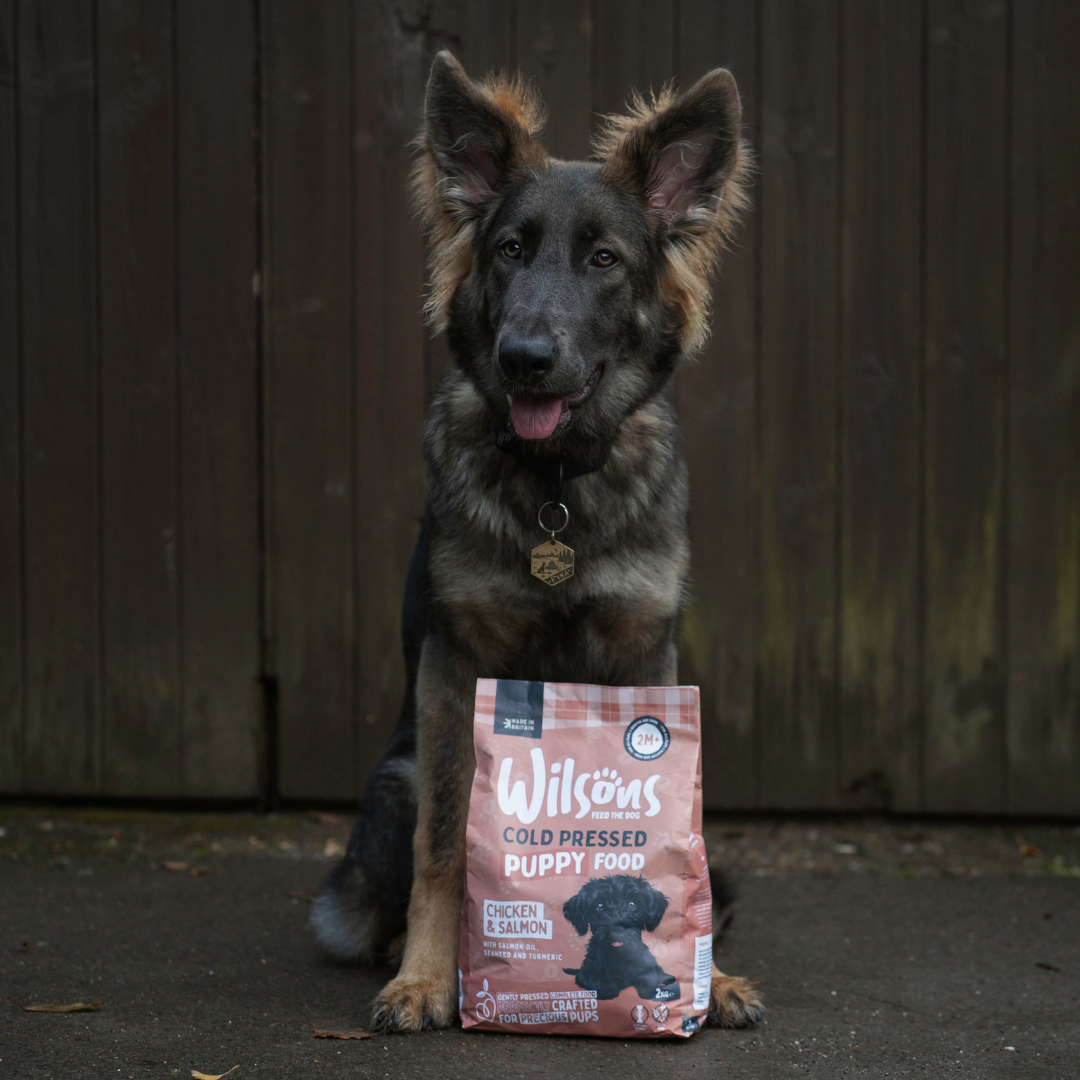 Wilsons Puppy Cold Pressed Dog Food from Wilsons Pet Food